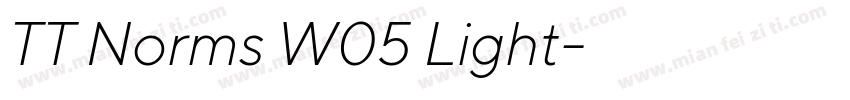 TT Norms W05 Light字体转换